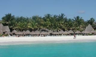Las Palapas Hotel Riviera Maya Bagian luar foto